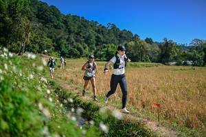 BIB: 
                            <button type="button" onclick="openModal(26633764)" class="btn btn-primary btn-sm float-right btn-popup" data-toggle="modal" data-target=".modal-high-quality">
                        <i class="fas fa-shopping-cart"></i> Add to Cart
                    </button>
                                            <button type="button" onclick="isThisMe(26633764, true)" class="btn btn-success btn-sm float-right btn-popup btn-isme hidden" data-toggle="tooltip" data-placement="bottom" title="นี่คือรูปของคุณใช่ไหม คลิกที่นี่เพื่อเอาเข้าอัลบั้ม">
                        <i class="fas fa-plus"></i> Add to album
                    </button>
                    <button type="button" onclick="isThisMe(26633764, false)" class="btn btn-warning btn-sm float-right btn-popup btn-isnotme hidden">
                        <i class="fas fa-ban"></i> Remove from album
                    </button>