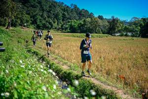 BIB: 
                            <button type="button" onclick="openModal(26623854)" class="btn btn-primary btn-sm float-right btn-popup" data-toggle="modal" data-target=".modal-high-quality">
                        <i class="fas fa-shopping-cart"></i> Add to Cart
                    </button>
                                            <button type="button" onclick="isThisMe(26623854, true)" class="btn btn-success btn-sm float-right btn-popup btn-isme hidden" data-toggle="tooltip" data-placement="bottom" title="นี่คือรูปของคุณใช่ไหม คลิกที่นี่เพื่อเอาเข้าอัลบั้ม">
                        <i class="fas fa-plus"></i> Add to album
                    </button>
                    <button type="button" onclick="isThisMe(26623854, false)" class="btn btn-warning btn-sm float-right btn-popup btn-isnotme hidden">
                        <i class="fas fa-ban"></i> Remove from album
                    </button>