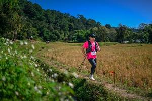 BIB: 
                            <button type="button" onclick="openModal(26624356)" class="btn btn-primary btn-sm float-right btn-popup" data-toggle="modal" data-target=".modal-high-quality">
                        <i class="fas fa-shopping-cart"></i> Add to Cart
                    </button>
                                            <button type="button" onclick="isThisMe(26624356, true)" class="btn btn-success btn-sm float-right btn-popup btn-isme hidden" data-toggle="tooltip" data-placement="bottom" title="นี่คือรูปของคุณใช่ไหม คลิกที่นี่เพื่อเอาเข้าอัลบั้ม">
                        <i class="fas fa-plus"></i> Add to album
                    </button>
                    <button type="button" onclick="isThisMe(26624356, false)" class="btn btn-warning btn-sm float-right btn-popup btn-isnotme hidden">
                        <i class="fas fa-ban"></i> Remove from album
                    </button>