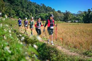 BIB: 
                            <button type="button" onclick="openModal(26631630)" class="btn btn-primary btn-sm float-right btn-popup" data-toggle="modal" data-target=".modal-high-quality">
                        <i class="fas fa-shopping-cart"></i> Add to Cart
                    </button>
                                            <button type="button" onclick="isThisMe(26631630, true)" class="btn btn-success btn-sm float-right btn-popup btn-isme hidden" data-toggle="tooltip" data-placement="bottom" title="นี่คือรูปของคุณใช่ไหม คลิกที่นี่เพื่อเอาเข้าอัลบั้ม">
                        <i class="fas fa-plus"></i> Add to album
                    </button>
                    <button type="button" onclick="isThisMe(26631630, false)" class="btn btn-warning btn-sm float-right btn-popup btn-isnotme hidden">
                        <i class="fas fa-ban"></i> Remove from album
                    </button>