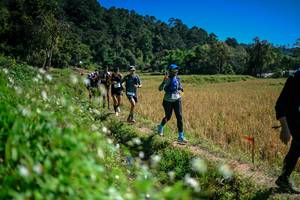 BIB: 
                            <button type="button" onclick="openModal(26623969)" class="btn btn-primary btn-sm float-right btn-popup" data-toggle="modal" data-target=".modal-high-quality">
                        <i class="fas fa-shopping-cart"></i> Add to Cart
                    </button>
                                            <button type="button" onclick="isThisMe(26623969, true)" class="btn btn-success btn-sm float-right btn-popup btn-isme hidden" data-toggle="tooltip" data-placement="bottom" title="นี่คือรูปของคุณใช่ไหม คลิกที่นี่เพื่อเอาเข้าอัลบั้ม">
                        <i class="fas fa-plus"></i> Add to album
                    </button>
                    <button type="button" onclick="isThisMe(26623969, false)" class="btn btn-warning btn-sm float-right btn-popup btn-isnotme hidden">
                        <i class="fas fa-ban"></i> Remove from album
                    </button>