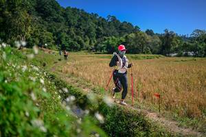 BIB: 
                            <button type="button" onclick="openModal(26624780)" class="btn btn-primary btn-sm float-right btn-popup" data-toggle="modal" data-target=".modal-high-quality">
                        <i class="fas fa-shopping-cart"></i> Add to Cart
                    </button>
                                            <button type="button" onclick="isThisMe(26624780, true)" class="btn btn-success btn-sm float-right btn-popup btn-isme hidden" data-toggle="tooltip" data-placement="bottom" title="นี่คือรูปของคุณใช่ไหม คลิกที่นี่เพื่อเอาเข้าอัลบั้ม">
                        <i class="fas fa-plus"></i> Add to album
                    </button>
                    <button type="button" onclick="isThisMe(26624780, false)" class="btn btn-warning btn-sm float-right btn-popup btn-isnotme hidden">
                        <i class="fas fa-ban"></i> Remove from album
                    </button>