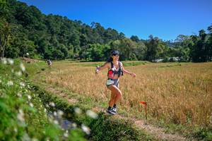 BIB: 
                            <button type="button" onclick="openModal(26632504)" class="btn btn-primary btn-sm float-right btn-popup" data-toggle="modal" data-target=".modal-high-quality">
                        <i class="fas fa-shopping-cart"></i> Add to Cart
                    </button>
                                            <button type="button" onclick="isThisMe(26632504, true)" class="btn btn-success btn-sm float-right btn-popup btn-isme hidden" data-toggle="tooltip" data-placement="bottom" title="นี่คือรูปของคุณใช่ไหม คลิกที่นี่เพื่อเอาเข้าอัลบั้ม">
                        <i class="fas fa-plus"></i> Add to album
                    </button>
                    <button type="button" onclick="isThisMe(26632504, false)" class="btn btn-warning btn-sm float-right btn-popup btn-isnotme hidden">
                        <i class="fas fa-ban"></i> Remove from album
                    </button>