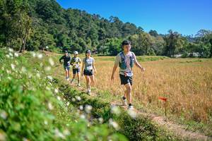 BIB: 
                            <button type="button" onclick="openModal(26632234)" class="btn btn-primary btn-sm float-right btn-popup" data-toggle="modal" data-target=".modal-high-quality">
                        <i class="fas fa-shopping-cart"></i> Add to Cart
                    </button>
                                            <button type="button" onclick="isThisMe(26632234, true)" class="btn btn-success btn-sm float-right btn-popup btn-isme hidden" data-toggle="tooltip" data-placement="bottom" title="นี่คือรูปของคุณใช่ไหม คลิกที่นี่เพื่อเอาเข้าอัลบั้ม">
                        <i class="fas fa-plus"></i> Add to album
                    </button>
                    <button type="button" onclick="isThisMe(26632234, false)" class="btn btn-warning btn-sm float-right btn-popup btn-isnotme hidden">
                        <i class="fas fa-ban"></i> Remove from album
                    </button>