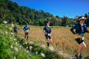 BIB: 
                            <button type="button" onclick="openModal(26633699)" class="btn btn-primary btn-sm float-right btn-popup" data-toggle="modal" data-target=".modal-high-quality">
                        <i class="fas fa-shopping-cart"></i> Add to Cart
                    </button>
                                            <button type="button" onclick="isThisMe(26633699, true)" class="btn btn-success btn-sm float-right btn-popup btn-isme hidden" data-toggle="tooltip" data-placement="bottom" title="นี่คือรูปของคุณใช่ไหม คลิกที่นี่เพื่อเอาเข้าอัลบั้ม">
                        <i class="fas fa-plus"></i> Add to album
                    </button>
                    <button type="button" onclick="isThisMe(26633699, false)" class="btn btn-warning btn-sm float-right btn-popup btn-isnotme hidden">
                        <i class="fas fa-ban"></i> Remove from album
                    </button>