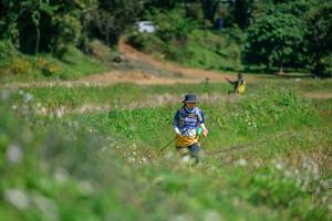 BIB: 
                            <button type="button" onclick="openModal(26770373)" class="btn btn-primary btn-sm float-right btn-popup" data-toggle="modal" data-target=".modal-high-quality">
                        <i class="fas fa-shopping-cart"></i> Add to Cart
                    </button>
                                            <button type="button" onclick="isThisMe(26770373, true)" class="btn btn-success btn-sm float-right btn-popup btn-isme hidden" data-toggle="tooltip" data-placement="bottom" title="นี่คือรูปของคุณใช่ไหม คลิกที่นี่เพื่อเอาเข้าอัลบั้ม">
                        <i class="fas fa-plus"></i> Add to album
                    </button>
                    <button type="button" onclick="isThisMe(26770373, false)" class="btn btn-warning btn-sm float-right btn-popup btn-isnotme hidden">
                        <i class="fas fa-ban"></i> Remove from album
                    </button>