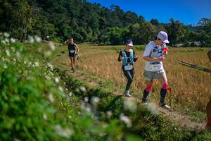 BIB: 
                            <button type="button" onclick="openModal(26624135)" class="btn btn-primary btn-sm float-right btn-popup" data-toggle="modal" data-target=".modal-high-quality">
                        <i class="fas fa-shopping-cart"></i> Add to Cart
                    </button>
                                            <button type="button" onclick="isThisMe(26624135, true)" class="btn btn-success btn-sm float-right btn-popup btn-isme hidden" data-toggle="tooltip" data-placement="bottom" title="นี่คือรูปของคุณใช่ไหม คลิกที่นี่เพื่อเอาเข้าอัลบั้ม">
                        <i class="fas fa-plus"></i> Add to album
                    </button>
                    <button type="button" onclick="isThisMe(26624135, false)" class="btn btn-warning btn-sm float-right btn-popup btn-isnotme hidden">
                        <i class="fas fa-ban"></i> Remove from album
                    </button>