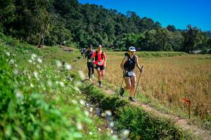 BIB: 
                            <button type="button" onclick="openModal(26623921)" class="btn btn-primary btn-sm float-right btn-popup" data-toggle="modal" data-target=".modal-high-quality">
                        <i class="fas fa-shopping-cart"></i> Add to Cart
                    </button>
                                            <button type="button" onclick="isThisMe(26623921, true)" class="btn btn-success btn-sm float-right btn-popup btn-isme hidden" data-toggle="tooltip" data-placement="bottom" title="นี่คือรูปของคุณใช่ไหม คลิกที่นี่เพื่อเอาเข้าอัลบั้ม">
                        <i class="fas fa-plus"></i> Add to album
                    </button>
                    <button type="button" onclick="isThisMe(26623921, false)" class="btn btn-warning btn-sm float-right btn-popup btn-isnotme hidden">
                        <i class="fas fa-ban"></i> Remove from album
                    </button>