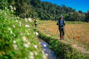 BIB: 
                            <button type="button" onclick="openModal(26623798)" class="btn btn-primary btn-sm float-right btn-popup" data-toggle="modal" data-target=".modal-high-quality">
                        <i class="fas fa-shopping-cart"></i> Add to Cart
                    </button>
                                            <button type="button" onclick="isThisMe(26623798, true)" class="btn btn-success btn-sm float-right btn-popup btn-isme hidden" data-toggle="tooltip" data-placement="bottom" title="นี่คือรูปของคุณใช่ไหม คลิกที่นี่เพื่อเอาเข้าอัลบั้ม">
                        <i class="fas fa-plus"></i> Add to album
                    </button>
                    <button type="button" onclick="isThisMe(26623798, false)" class="btn btn-warning btn-sm float-right btn-popup btn-isnotme hidden">
                        <i class="fas fa-ban"></i> Remove from album
                    </button>