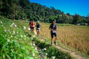 BIB: 
                            <button type="button" onclick="openModal(26623906)" class="btn btn-primary btn-sm float-right btn-popup" data-toggle="modal" data-target=".modal-high-quality">
                        <i class="fas fa-shopping-cart"></i> Add to Cart
                    </button>
                                            <button type="button" onclick="isThisMe(26623906, true)" class="btn btn-success btn-sm float-right btn-popup btn-isme hidden" data-toggle="tooltip" data-placement="bottom" title="นี่คือรูปของคุณใช่ไหม คลิกที่นี่เพื่อเอาเข้าอัลบั้ม">
                        <i class="fas fa-plus"></i> Add to album
                    </button>
                    <button type="button" onclick="isThisMe(26623906, false)" class="btn btn-warning btn-sm float-right btn-popup btn-isnotme hidden">
                        <i class="fas fa-ban"></i> Remove from album
                    </button>