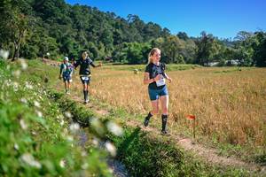 BIB: 
                            <button type="button" onclick="openModal(26631541)" class="btn btn-primary btn-sm float-right btn-popup" data-toggle="modal" data-target=".modal-high-quality">
                        <i class="fas fa-shopping-cart"></i> Add to Cart
                    </button>
                                            <button type="button" onclick="isThisMe(26631541, true)" class="btn btn-success btn-sm float-right btn-popup btn-isme hidden" data-toggle="tooltip" data-placement="bottom" title="นี่คือรูปของคุณใช่ไหม คลิกที่นี่เพื่อเอาเข้าอัลบั้ม">
                        <i class="fas fa-plus"></i> Add to album
                    </button>
                    <button type="button" onclick="isThisMe(26631541, false)" class="btn btn-warning btn-sm float-right btn-popup btn-isnotme hidden">
                        <i class="fas fa-ban"></i> Remove from album
                    </button>