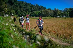 BIB: 
                            <button type="button" onclick="openModal(26624107)" class="btn btn-primary btn-sm float-right btn-popup" data-toggle="modal" data-target=".modal-high-quality">
                        <i class="fas fa-shopping-cart"></i> Add to Cart
                    </button>
                                            <button type="button" onclick="isThisMe(26624107, true)" class="btn btn-success btn-sm float-right btn-popup btn-isme hidden" data-toggle="tooltip" data-placement="bottom" title="นี่คือรูปของคุณใช่ไหม คลิกที่นี่เพื่อเอาเข้าอัลบั้ม">
                        <i class="fas fa-plus"></i> Add to album
                    </button>
                    <button type="button" onclick="isThisMe(26624107, false)" class="btn btn-warning btn-sm float-right btn-popup btn-isnotme hidden">
                        <i class="fas fa-ban"></i> Remove from album
                    </button>