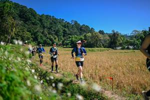 BIB: 
                            <button type="button" onclick="openModal(26633664)" class="btn btn-primary btn-sm float-right btn-popup" data-toggle="modal" data-target=".modal-high-quality">
                        <i class="fas fa-shopping-cart"></i> Add to Cart
                    </button>
                                            <button type="button" onclick="isThisMe(26633664, true)" class="btn btn-success btn-sm float-right btn-popup btn-isme hidden" data-toggle="tooltip" data-placement="bottom" title="นี่คือรูปของคุณใช่ไหม คลิกที่นี่เพื่อเอาเข้าอัลบั้ม">
                        <i class="fas fa-plus"></i> Add to album
                    </button>
                    <button type="button" onclick="isThisMe(26633664, false)" class="btn btn-warning btn-sm float-right btn-popup btn-isnotme hidden">
                        <i class="fas fa-ban"></i> Remove from album
                    </button>