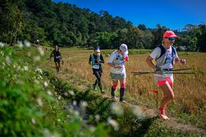 BIB: 
                            <button type="button" onclick="openModal(26624130)" class="btn btn-primary btn-sm float-right btn-popup" data-toggle="modal" data-target=".modal-high-quality">
                        <i class="fas fa-shopping-cart"></i> Add to Cart
                    </button>
                                            <button type="button" onclick="isThisMe(26624130, true)" class="btn btn-success btn-sm float-right btn-popup btn-isme hidden" data-toggle="tooltip" data-placement="bottom" title="นี่คือรูปของคุณใช่ไหม คลิกที่นี่เพื่อเอาเข้าอัลบั้ม">
                        <i class="fas fa-plus"></i> Add to album
                    </button>
                    <button type="button" onclick="isThisMe(26624130, false)" class="btn btn-warning btn-sm float-right btn-popup btn-isnotme hidden">
                        <i class="fas fa-ban"></i> Remove from album
                    </button>