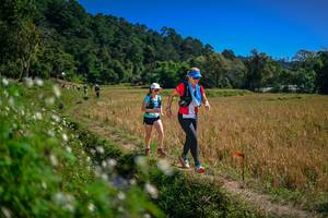 BIB: 
                            <button type="button" onclick="openModal(26624520)" class="btn btn-primary btn-sm float-right btn-popup" data-toggle="modal" data-target=".modal-high-quality">
                        <i class="fas fa-shopping-cart"></i> Add to Cart
                    </button>
                                            <button type="button" onclick="isThisMe(26624520, true)" class="btn btn-success btn-sm float-right btn-popup btn-isme hidden" data-toggle="tooltip" data-placement="bottom" title="นี่คือรูปของคุณใช่ไหม คลิกที่นี่เพื่อเอาเข้าอัลบั้ม">
                        <i class="fas fa-plus"></i> Add to album
                    </button>
                    <button type="button" onclick="isThisMe(26624520, false)" class="btn btn-warning btn-sm float-right btn-popup btn-isnotme hidden">
                        <i class="fas fa-ban"></i> Remove from album
                    </button>