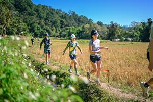 BIB: 
                            <button type="button" onclick="openModal(26632246)" class="btn btn-primary btn-sm float-right btn-popup" data-toggle="modal" data-target=".modal-high-quality">
                        <i class="fas fa-shopping-cart"></i> Add to Cart
                    </button>
                                            <button type="button" onclick="isThisMe(26632246, true)" class="btn btn-success btn-sm float-right btn-popup btn-isme hidden" data-toggle="tooltip" data-placement="bottom" title="นี่คือรูปของคุณใช่ไหม คลิกที่นี่เพื่อเอาเข้าอัลบั้ม">
                        <i class="fas fa-plus"></i> Add to album
                    </button>
                    <button type="button" onclick="isThisMe(26632246, false)" class="btn btn-warning btn-sm float-right btn-popup btn-isnotme hidden">
                        <i class="fas fa-ban"></i> Remove from album
                    </button>