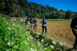 BIB: 
                            <button type="button" onclick="openModal(26623964)" class="btn btn-primary btn-sm float-right btn-popup" data-toggle="modal" data-target=".modal-high-quality">
                        <i class="fas fa-shopping-cart"></i> Add to Cart
                    </button>
                                            <button type="button" onclick="isThisMe(26623964, true)" class="btn btn-success btn-sm float-right btn-popup btn-isme hidden" data-toggle="tooltip" data-placement="bottom" title="นี่คือรูปของคุณใช่ไหม คลิกที่นี่เพื่อเอาเข้าอัลบั้ม">
                        <i class="fas fa-plus"></i> Add to album
                    </button>
                    <button type="button" onclick="isThisMe(26623964, false)" class="btn btn-warning btn-sm float-right btn-popup btn-isnotme hidden">
                        <i class="fas fa-ban"></i> Remove from album
                    </button>