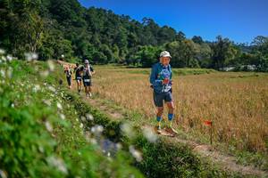 BIB: 
                            <button type="button" onclick="openModal(26624731)" class="btn btn-primary btn-sm float-right btn-popup" data-toggle="modal" data-target=".modal-high-quality">
                        <i class="fas fa-shopping-cart"></i> Add to Cart
                    </button>
                                            <button type="button" onclick="isThisMe(26624731, true)" class="btn btn-success btn-sm float-right btn-popup btn-isme hidden" data-toggle="tooltip" data-placement="bottom" title="นี่คือรูปของคุณใช่ไหม คลิกที่นี่เพื่อเอาเข้าอัลบั้ม">
                        <i class="fas fa-plus"></i> Add to album
                    </button>
                    <button type="button" onclick="isThisMe(26624731, false)" class="btn btn-warning btn-sm float-right btn-popup btn-isnotme hidden">
                        <i class="fas fa-ban"></i> Remove from album
                    </button>