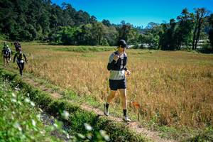 BIB: 
                            <button type="button" onclick="openModal(26623866)" class="btn btn-primary btn-sm float-right btn-popup" data-toggle="modal" data-target=".modal-high-quality">
                        <i class="fas fa-shopping-cart"></i> Add to Cart
                    </button>
                                            <button type="button" onclick="isThisMe(26623866, true)" class="btn btn-success btn-sm float-right btn-popup btn-isme hidden" data-toggle="tooltip" data-placement="bottom" title="นี่คือรูปของคุณใช่ไหม คลิกที่นี่เพื่อเอาเข้าอัลบั้ม">
                        <i class="fas fa-plus"></i> Add to album
                    </button>
                    <button type="button" onclick="isThisMe(26623866, false)" class="btn btn-warning btn-sm float-right btn-popup btn-isnotme hidden">
                        <i class="fas fa-ban"></i> Remove from album
                    </button>