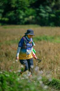 BIB: 
                            <button type="button" onclick="openModal(26770396)" class="btn btn-primary btn-sm float-right btn-popup" data-toggle="modal" data-target=".modal-high-quality">
                        <i class="fas fa-shopping-cart"></i> Add to Cart
                    </button>
                                            <button type="button" onclick="isThisMe(26770396, true)" class="btn btn-success btn-sm float-right btn-popup btn-isme hidden" data-toggle="tooltip" data-placement="bottom" title="นี่คือรูปของคุณใช่ไหม คลิกที่นี่เพื่อเอาเข้าอัลบั้ม">
                        <i class="fas fa-plus"></i> Add to album
                    </button>
                    <button type="button" onclick="isThisMe(26770396, false)" class="btn btn-warning btn-sm float-right btn-popup btn-isnotme hidden">
                        <i class="fas fa-ban"></i> Remove from album
                    </button>