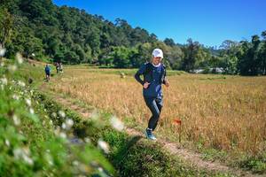 BIB: 
                            <button type="button" onclick="openModal(26631785)" class="btn btn-primary btn-sm float-right btn-popup" data-toggle="modal" data-target=".modal-high-quality">
                        <i class="fas fa-shopping-cart"></i> Add to Cart
                    </button>
                                            <button type="button" onclick="isThisMe(26631785, true)" class="btn btn-success btn-sm float-right btn-popup btn-isme hidden" data-toggle="tooltip" data-placement="bottom" title="นี่คือรูปของคุณใช่ไหม คลิกที่นี่เพื่อเอาเข้าอัลบั้ม">
                        <i class="fas fa-plus"></i> Add to album
                    </button>
                    <button type="button" onclick="isThisMe(26631785, false)" class="btn btn-warning btn-sm float-right btn-popup btn-isnotme hidden">
                        <i class="fas fa-ban"></i> Remove from album
                    </button>