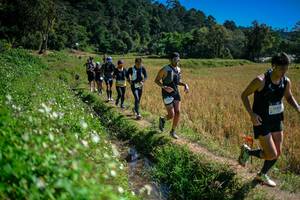 BIB: 
                            <button type="button" onclick="openModal(26623999)" class="btn btn-primary btn-sm float-right btn-popup" data-toggle="modal" data-target=".modal-high-quality">
                        <i class="fas fa-shopping-cart"></i> Add to Cart
                    </button>
                                            <button type="button" onclick="isThisMe(26623999, true)" class="btn btn-success btn-sm float-right btn-popup btn-isme hidden" data-toggle="tooltip" data-placement="bottom" title="นี่คือรูปของคุณใช่ไหม คลิกที่นี่เพื่อเอาเข้าอัลบั้ม">
                        <i class="fas fa-plus"></i> Add to album
                    </button>
                    <button type="button" onclick="isThisMe(26623999, false)" class="btn btn-warning btn-sm float-right btn-popup btn-isnotme hidden">
                        <i class="fas fa-ban"></i> Remove from album
                    </button>