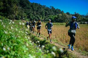 BIB: 
                            <button type="button" onclick="openModal(26623973)" class="btn btn-primary btn-sm float-right btn-popup" data-toggle="modal" data-target=".modal-high-quality">
                        <i class="fas fa-shopping-cart"></i> Add to Cart
                    </button>
                                            <button type="button" onclick="isThisMe(26623973, true)" class="btn btn-success btn-sm float-right btn-popup btn-isme hidden" data-toggle="tooltip" data-placement="bottom" title="นี่คือรูปของคุณใช่ไหม คลิกที่นี่เพื่อเอาเข้าอัลบั้ม">
                        <i class="fas fa-plus"></i> Add to album
                    </button>
                    <button type="button" onclick="isThisMe(26623973, false)" class="btn btn-warning btn-sm float-right btn-popup btn-isnotme hidden">
                        <i class="fas fa-ban"></i> Remove from album
                    </button>