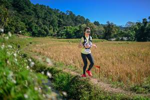 BIB: 
                            <button type="button" onclick="openModal(26632095)" class="btn btn-primary btn-sm float-right btn-popup" data-toggle="modal" data-target=".modal-high-quality">
                        <i class="fas fa-shopping-cart"></i> Add to Cart
                    </button>
                                            <button type="button" onclick="isThisMe(26632095, true)" class="btn btn-success btn-sm float-right btn-popup btn-isme hidden" data-toggle="tooltip" data-placement="bottom" title="นี่คือรูปของคุณใช่ไหม คลิกที่นี่เพื่อเอาเข้าอัลบั้ม">
                        <i class="fas fa-plus"></i> Add to album
                    </button>
                    <button type="button" onclick="isThisMe(26632095, false)" class="btn btn-warning btn-sm float-right btn-popup btn-isnotme hidden">
                        <i class="fas fa-ban"></i> Remove from album
                    </button>