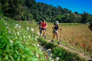 BIB: 
                            <button type="button" onclick="openModal(26623919)" class="btn btn-primary btn-sm float-right btn-popup" data-toggle="modal" data-target=".modal-high-quality">
                        <i class="fas fa-shopping-cart"></i> Add to Cart
                    </button>
                                            <button type="button" onclick="isThisMe(26623919, true)" class="btn btn-success btn-sm float-right btn-popup btn-isme hidden" data-toggle="tooltip" data-placement="bottom" title="นี่คือรูปของคุณใช่ไหม คลิกที่นี่เพื่อเอาเข้าอัลบั้ม">
                        <i class="fas fa-plus"></i> Add to album
                    </button>
                    <button type="button" onclick="isThisMe(26623919, false)" class="btn btn-warning btn-sm float-right btn-popup btn-isnotme hidden">
                        <i class="fas fa-ban"></i> Remove from album
                    </button>