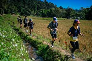 BIB: 
                            <button type="button" onclick="openModal(26624032)" class="btn btn-primary btn-sm float-right btn-popup" data-toggle="modal" data-target=".modal-high-quality">
                        <i class="fas fa-shopping-cart"></i> Add to Cart
                    </button>
                                            <button type="button" onclick="isThisMe(26624032, true)" class="btn btn-success btn-sm float-right btn-popup btn-isme hidden" data-toggle="tooltip" data-placement="bottom" title="นี่คือรูปของคุณใช่ไหม คลิกที่นี่เพื่อเอาเข้าอัลบั้ม">
                        <i class="fas fa-plus"></i> Add to album
                    </button>
                    <button type="button" onclick="isThisMe(26624032, false)" class="btn btn-warning btn-sm float-right btn-popup btn-isnotme hidden">
                        <i class="fas fa-ban"></i> Remove from album
                    </button>