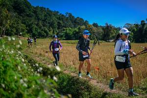 BIB: 
                            <button type="button" onclick="openModal(26624245)" class="btn btn-primary btn-sm float-right btn-popup" data-toggle="modal" data-target=".modal-high-quality">
                        <i class="fas fa-shopping-cart"></i> Add to Cart
                    </button>
                                            <button type="button" onclick="isThisMe(26624245, true)" class="btn btn-success btn-sm float-right btn-popup btn-isme hidden" data-toggle="tooltip" data-placement="bottom" title="นี่คือรูปของคุณใช่ไหม คลิกที่นี่เพื่อเอาเข้าอัลบั้ม">
                        <i class="fas fa-plus"></i> Add to album
                    </button>
                    <button type="button" onclick="isThisMe(26624245, false)" class="btn btn-warning btn-sm float-right btn-popup btn-isnotme hidden">
                        <i class="fas fa-ban"></i> Remove from album
                    </button>