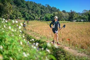 BIB: 
                            <button type="button" onclick="openModal(26632277)" class="btn btn-primary btn-sm float-right btn-popup" data-toggle="modal" data-target=".modal-high-quality">
                        <i class="fas fa-shopping-cart"></i> Add to Cart
                    </button>
                                            <button type="button" onclick="isThisMe(26632277, true)" class="btn btn-success btn-sm float-right btn-popup btn-isme hidden" data-toggle="tooltip" data-placement="bottom" title="นี่คือรูปของคุณใช่ไหม คลิกที่นี่เพื่อเอาเข้าอัลบั้ม">
                        <i class="fas fa-plus"></i> Add to album
                    </button>
                    <button type="button" onclick="isThisMe(26632277, false)" class="btn btn-warning btn-sm float-right btn-popup btn-isnotme hidden">
                        <i class="fas fa-ban"></i> Remove from album
                    </button>