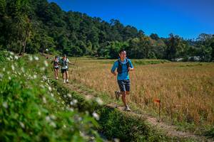 BIB: 
                            <button type="button" onclick="openModal(26624206)" class="btn btn-primary btn-sm float-right btn-popup" data-toggle="modal" data-target=".modal-high-quality">
                        <i class="fas fa-shopping-cart"></i> Add to Cart
                    </button>
                                            <button type="button" onclick="isThisMe(26624206, true)" class="btn btn-success btn-sm float-right btn-popup btn-isme hidden" data-toggle="tooltip" data-placement="bottom" title="นี่คือรูปของคุณใช่ไหม คลิกที่นี่เพื่อเอาเข้าอัลบั้ม">
                        <i class="fas fa-plus"></i> Add to album
                    </button>
                    <button type="button" onclick="isThisMe(26624206, false)" class="btn btn-warning btn-sm float-right btn-popup btn-isnotme hidden">
                        <i class="fas fa-ban"></i> Remove from album
                    </button>