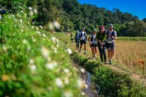 BIB: 
                            <button type="button" onclick="openModal(26623756)" class="btn btn-primary btn-sm float-right btn-popup" data-toggle="modal" data-target=".modal-high-quality">
                        <i class="fas fa-shopping-cart"></i> Add to Cart
                    </button>
                                            <button type="button" onclick="isThisMe(26623756, true)" class="btn btn-success btn-sm float-right btn-popup btn-isme hidden" data-toggle="tooltip" data-placement="bottom" title="นี่คือรูปของคุณใช่ไหม คลิกที่นี่เพื่อเอาเข้าอัลบั้ม">
                        <i class="fas fa-plus"></i> Add to album
                    </button>
                    <button type="button" onclick="isThisMe(26623756, false)" class="btn btn-warning btn-sm float-right btn-popup btn-isnotme hidden">
                        <i class="fas fa-ban"></i> Remove from album
                    </button>