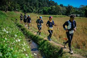 BIB: 
                            <button type="button" onclick="openModal(26624018)" class="btn btn-primary btn-sm float-right btn-popup" data-toggle="modal" data-target=".modal-high-quality">
                        <i class="fas fa-shopping-cart"></i> Add to Cart
                    </button>
                                            <button type="button" onclick="isThisMe(26624018, true)" class="btn btn-success btn-sm float-right btn-popup btn-isme hidden" data-toggle="tooltip" data-placement="bottom" title="นี่คือรูปของคุณใช่ไหม คลิกที่นี่เพื่อเอาเข้าอัลบั้ม">
                        <i class="fas fa-plus"></i> Add to album
                    </button>
                    <button type="button" onclick="isThisMe(26624018, false)" class="btn btn-warning btn-sm float-right btn-popup btn-isnotme hidden">
                        <i class="fas fa-ban"></i> Remove from album
                    </button>