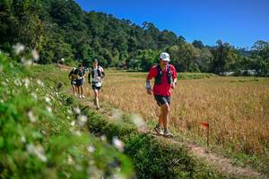 BIB: 
                            <button type="button" onclick="openModal(26632417)" class="btn btn-primary btn-sm float-right btn-popup" data-toggle="modal" data-target=".modal-high-quality">
                        <i class="fas fa-shopping-cart"></i> Add to Cart
                    </button>
                                            <button type="button" onclick="isThisMe(26632417, true)" class="btn btn-success btn-sm float-right btn-popup btn-isme hidden" data-toggle="tooltip" data-placement="bottom" title="นี่คือรูปของคุณใช่ไหม คลิกที่นี่เพื่อเอาเข้าอัลบั้ม">
                        <i class="fas fa-plus"></i> Add to album
                    </button>
                    <button type="button" onclick="isThisMe(26632417, false)" class="btn btn-warning btn-sm float-right btn-popup btn-isnotme hidden">
                        <i class="fas fa-ban"></i> Remove from album
                    </button>