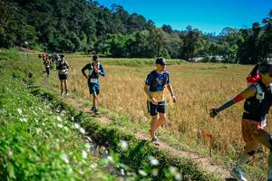 BIB: 
                            <button type="button" onclick="openModal(26623834)" class="btn btn-primary btn-sm float-right btn-popup" data-toggle="modal" data-target=".modal-high-quality">
                        <i class="fas fa-shopping-cart"></i> Add to Cart
                    </button>
                                            <button type="button" onclick="isThisMe(26623834, true)" class="btn btn-success btn-sm float-right btn-popup btn-isme hidden" data-toggle="tooltip" data-placement="bottom" title="นี่คือรูปของคุณใช่ไหม คลิกที่นี่เพื่อเอาเข้าอัลบั้ม">
                        <i class="fas fa-plus"></i> Add to album
                    </button>
                    <button type="button" onclick="isThisMe(26623834, false)" class="btn btn-warning btn-sm float-right btn-popup btn-isnotme hidden">
                        <i class="fas fa-ban"></i> Remove from album
                    </button>