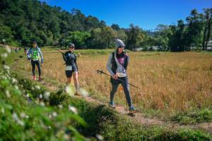 BIB: 
                            <button type="button" onclick="openModal(26631967)" class="btn btn-primary btn-sm float-right btn-popup" data-toggle="modal" data-target=".modal-high-quality">
                        <i class="fas fa-shopping-cart"></i> Add to Cart
                    </button>
                                            <button type="button" onclick="isThisMe(26631967, true)" class="btn btn-success btn-sm float-right btn-popup btn-isme hidden" data-toggle="tooltip" data-placement="bottom" title="นี่คือรูปของคุณใช่ไหม คลิกที่นี่เพื่อเอาเข้าอัลบั้ม">
                        <i class="fas fa-plus"></i> Add to album
                    </button>
                    <button type="button" onclick="isThisMe(26631967, false)" class="btn btn-warning btn-sm float-right btn-popup btn-isnotme hidden">
                        <i class="fas fa-ban"></i> Remove from album
                    </button>