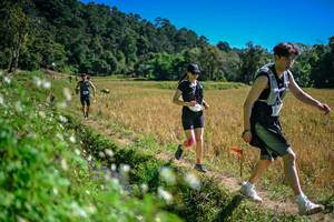 BIB: 
                            <button type="button" onclick="openModal(26624061)" class="btn btn-primary btn-sm float-right btn-popup" data-toggle="modal" data-target=".modal-high-quality">
                        <i class="fas fa-shopping-cart"></i> Add to Cart
                    </button>
                                            <button type="button" onclick="isThisMe(26624061, true)" class="btn btn-success btn-sm float-right btn-popup btn-isme hidden" data-toggle="tooltip" data-placement="bottom" title="นี่คือรูปของคุณใช่ไหม คลิกที่นี่เพื่อเอาเข้าอัลบั้ม">
                        <i class="fas fa-plus"></i> Add to album
                    </button>
                    <button type="button" onclick="isThisMe(26624061, false)" class="btn btn-warning btn-sm float-right btn-popup btn-isnotme hidden">
                        <i class="fas fa-ban"></i> Remove from album
                    </button>