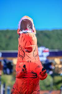 BIB: 
                            <button type="button" onclick="openModal(26772395)" class="btn btn-primary btn-sm float-right btn-popup" data-toggle="modal" data-target=".modal-high-quality">
                        <i class="fas fa-shopping-cart"></i> Add to Cart
                    </button>
                                            <button type="button" onclick="isThisMe(26772395, true)" class="btn btn-success btn-sm float-right btn-popup btn-isme hidden" data-toggle="tooltip" data-placement="bottom" title="นี่คือรูปของคุณใช่ไหม คลิกที่นี่เพื่อเอาเข้าอัลบั้ม">
                        <i class="fas fa-plus"></i> Add to album
                    </button>
                    <button type="button" onclick="isThisMe(26772395, false)" class="btn btn-warning btn-sm float-right btn-popup btn-isnotme hidden">
                        <i class="fas fa-ban"></i> Remove from album
                    </button>