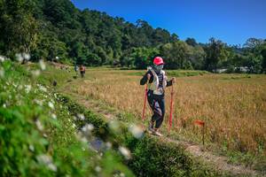 BIB: 
                            <button type="button" onclick="openModal(26624781)" class="btn btn-primary btn-sm float-right btn-popup" data-toggle="modal" data-target=".modal-high-quality">
                        <i class="fas fa-shopping-cart"></i> Add to Cart
                    </button>
                                            <button type="button" onclick="isThisMe(26624781, true)" class="btn btn-success btn-sm float-right btn-popup btn-isme hidden" data-toggle="tooltip" data-placement="bottom" title="นี่คือรูปของคุณใช่ไหม คลิกที่นี่เพื่อเอาเข้าอัลบั้ม">
                        <i class="fas fa-plus"></i> Add to album
                    </button>
                    <button type="button" onclick="isThisMe(26624781, false)" class="btn btn-warning btn-sm float-right btn-popup btn-isnotme hidden">
                        <i class="fas fa-ban"></i> Remove from album
                    </button>