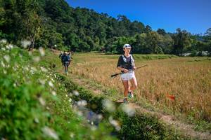 BIB: 
                            <button type="button" onclick="openModal(26624716)" class="btn btn-primary btn-sm float-right btn-popup" data-toggle="modal" data-target=".modal-high-quality">
                        <i class="fas fa-shopping-cart"></i> Add to Cart
                    </button>
                                            <button type="button" onclick="isThisMe(26624716, true)" class="btn btn-success btn-sm float-right btn-popup btn-isme hidden" data-toggle="tooltip" data-placement="bottom" title="นี่คือรูปของคุณใช่ไหม คลิกที่นี่เพื่อเอาเข้าอัลบั้ม">
                        <i class="fas fa-plus"></i> Add to album
                    </button>
                    <button type="button" onclick="isThisMe(26624716, false)" class="btn btn-warning btn-sm float-right btn-popup btn-isnotme hidden">
                        <i class="fas fa-ban"></i> Remove from album
                    </button>