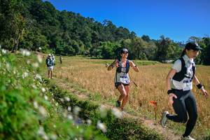 BIB: 
                            <button type="button" onclick="openModal(26633775)" class="btn btn-primary btn-sm float-right btn-popup" data-toggle="modal" data-target=".modal-high-quality">
                        <i class="fas fa-shopping-cart"></i> Add to Cart
                    </button>
                                            <button type="button" onclick="isThisMe(26633775, true)" class="btn btn-success btn-sm float-right btn-popup btn-isme hidden" data-toggle="tooltip" data-placement="bottom" title="นี่คือรูปของคุณใช่ไหม คลิกที่นี่เพื่อเอาเข้าอัลบั้ม">
                        <i class="fas fa-plus"></i> Add to album
                    </button>
                    <button type="button" onclick="isThisMe(26633775, false)" class="btn btn-warning btn-sm float-right btn-popup btn-isnotme hidden">
                        <i class="fas fa-ban"></i> Remove from album
                    </button>