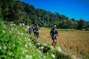 BIB: 
                            <button type="button" onclick="openModal(26623935)" class="btn btn-primary btn-sm float-right btn-popup" data-toggle="modal" data-target=".modal-high-quality">
                        <i class="fas fa-shopping-cart"></i> Add to Cart
                    </button>
                                            <button type="button" onclick="isThisMe(26623935, true)" class="btn btn-success btn-sm float-right btn-popup btn-isme hidden" data-toggle="tooltip" data-placement="bottom" title="นี่คือรูปของคุณใช่ไหม คลิกที่นี่เพื่อเอาเข้าอัลบั้ม">
                        <i class="fas fa-plus"></i> Add to album
                    </button>
                    <button type="button" onclick="isThisMe(26623935, false)" class="btn btn-warning btn-sm float-right btn-popup btn-isnotme hidden">
                        <i class="fas fa-ban"></i> Remove from album
                    </button>