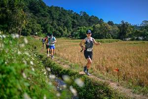 BIB: 
                            <button type="button" onclick="openModal(26624805)" class="btn btn-primary btn-sm float-right btn-popup" data-toggle="modal" data-target=".modal-high-quality">
                        <i class="fas fa-shopping-cart"></i> Add to Cart
                    </button>
                                            <button type="button" onclick="isThisMe(26624805, true)" class="btn btn-success btn-sm float-right btn-popup btn-isme hidden" data-toggle="tooltip" data-placement="bottom" title="นี่คือรูปของคุณใช่ไหม คลิกที่นี่เพื่อเอาเข้าอัลบั้ม">
                        <i class="fas fa-plus"></i> Add to album
                    </button>
                    <button type="button" onclick="isThisMe(26624805, false)" class="btn btn-warning btn-sm float-right btn-popup btn-isnotme hidden">
                        <i class="fas fa-ban"></i> Remove from album
                    </button>