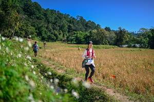 BIB: 
                            <button type="button" onclick="openModal(26633881)" class="btn btn-primary btn-sm float-right btn-popup" data-toggle="modal" data-target=".modal-high-quality">
                        <i class="fas fa-shopping-cart"></i> Add to Cart
                    </button>
                                            <button type="button" onclick="isThisMe(26633881, true)" class="btn btn-success btn-sm float-right btn-popup btn-isme hidden" data-toggle="tooltip" data-placement="bottom" title="นี่คือรูปของคุณใช่ไหม คลิกที่นี่เพื่อเอาเข้าอัลบั้ม">
                        <i class="fas fa-plus"></i> Add to album
                    </button>
                    <button type="button" onclick="isThisMe(26633881, false)" class="btn btn-warning btn-sm float-right btn-popup btn-isnotme hidden">
                        <i class="fas fa-ban"></i> Remove from album
                    </button>