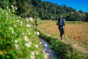 BIB: 
                            <button type="button" onclick="openModal(26623802)" class="btn btn-primary btn-sm float-right btn-popup" data-toggle="modal" data-target=".modal-high-quality">
                        <i class="fas fa-shopping-cart"></i> Add to Cart
                    </button>
                                            <button type="button" onclick="isThisMe(26623802, true)" class="btn btn-success btn-sm float-right btn-popup btn-isme hidden" data-toggle="tooltip" data-placement="bottom" title="นี่คือรูปของคุณใช่ไหม คลิกที่นี่เพื่อเอาเข้าอัลบั้ม">
                        <i class="fas fa-plus"></i> Add to album
                    </button>
                    <button type="button" onclick="isThisMe(26623802, false)" class="btn btn-warning btn-sm float-right btn-popup btn-isnotme hidden">
                        <i class="fas fa-ban"></i> Remove from album
                    </button>