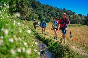 BIB: 
                            <button type="button" onclick="openModal(26623757)" class="btn btn-primary btn-sm float-right btn-popup" data-toggle="modal" data-target=".modal-high-quality">
                        <i class="fas fa-shopping-cart"></i> Add to Cart
                    </button>
                                            <button type="button" onclick="isThisMe(26623757, true)" class="btn btn-success btn-sm float-right btn-popup btn-isme hidden" data-toggle="tooltip" data-placement="bottom" title="นี่คือรูปของคุณใช่ไหม คลิกที่นี่เพื่อเอาเข้าอัลบั้ม">
                        <i class="fas fa-plus"></i> Add to album
                    </button>
                    <button type="button" onclick="isThisMe(26623757, false)" class="btn btn-warning btn-sm float-right btn-popup btn-isnotme hidden">
                        <i class="fas fa-ban"></i> Remove from album
                    </button>