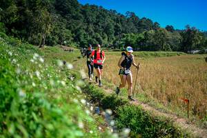 BIB: 
                            <button type="button" onclick="openModal(26623918)" class="btn btn-primary btn-sm float-right btn-popup" data-toggle="modal" data-target=".modal-high-quality">
                        <i class="fas fa-shopping-cart"></i> Add to Cart
                    </button>
                                            <button type="button" onclick="isThisMe(26623918, true)" class="btn btn-success btn-sm float-right btn-popup btn-isme hidden" data-toggle="tooltip" data-placement="bottom" title="นี่คือรูปของคุณใช่ไหม คลิกที่นี่เพื่อเอาเข้าอัลบั้ม">
                        <i class="fas fa-plus"></i> Add to album
                    </button>
                    <button type="button" onclick="isThisMe(26623918, false)" class="btn btn-warning btn-sm float-right btn-popup btn-isnotme hidden">
                        <i class="fas fa-ban"></i> Remove from album
                    </button>