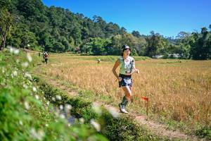 BIB: 
                            <button type="button" onclick="openModal(26632303)" class="btn btn-primary btn-sm float-right btn-popup" data-toggle="modal" data-target=".modal-high-quality">
                        <i class="fas fa-shopping-cart"></i> Add to Cart
                    </button>
                                            <button type="button" onclick="isThisMe(26632303, true)" class="btn btn-success btn-sm float-right btn-popup btn-isme hidden" data-toggle="tooltip" data-placement="bottom" title="นี่คือรูปของคุณใช่ไหม คลิกที่นี่เพื่อเอาเข้าอัลบั้ม">
                        <i class="fas fa-plus"></i> Add to album
                    </button>
                    <button type="button" onclick="isThisMe(26632303, false)" class="btn btn-warning btn-sm float-right btn-popup btn-isnotme hidden">
                        <i class="fas fa-ban"></i> Remove from album
                    </button>